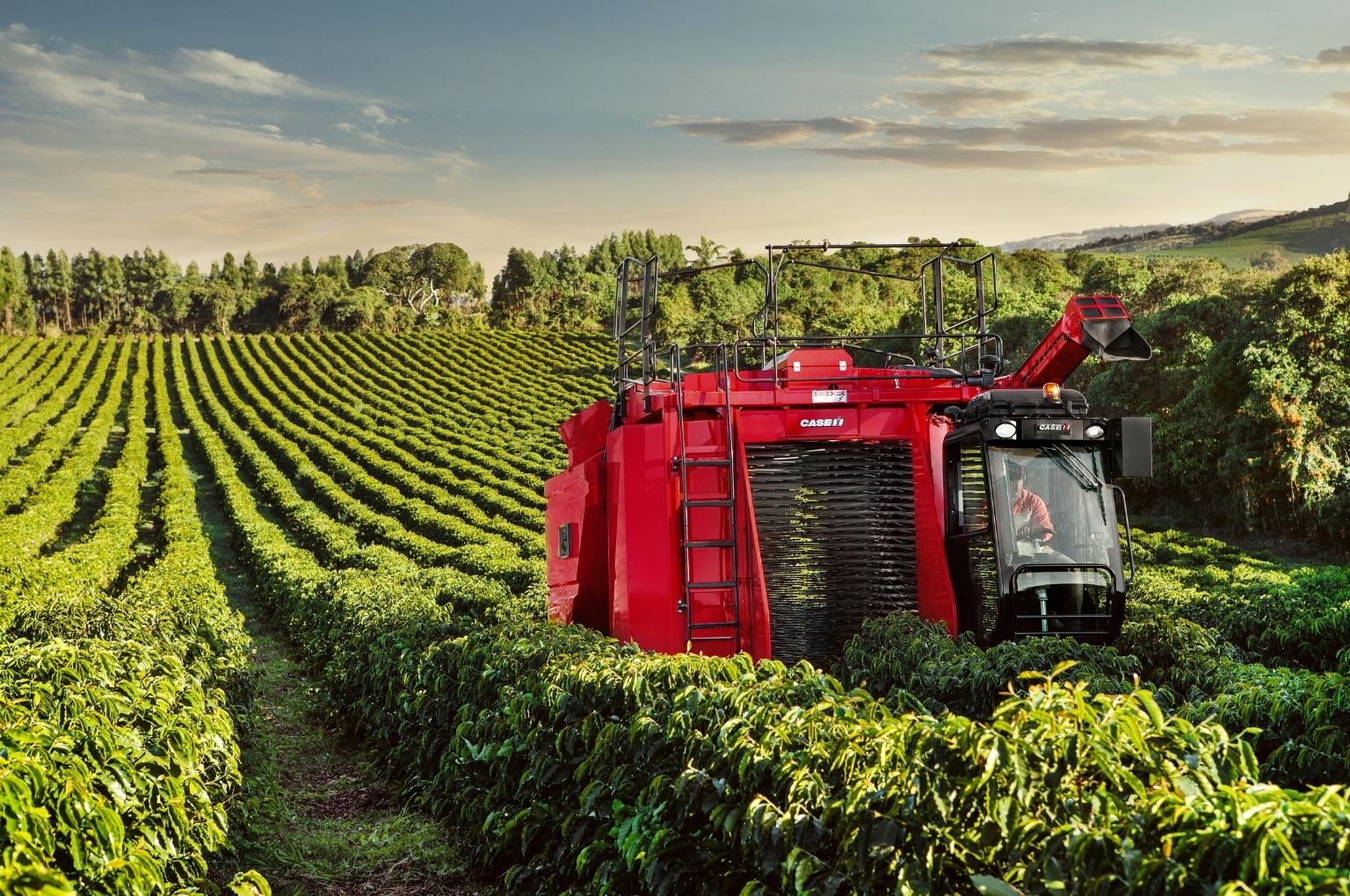 Case IH Coffee Express 200 launched in Angola