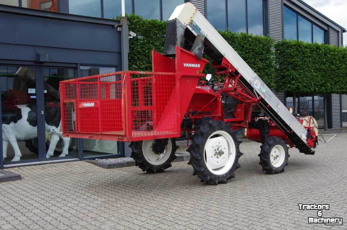 Other Yanmar Kopinstallatie / Tulpen kopper