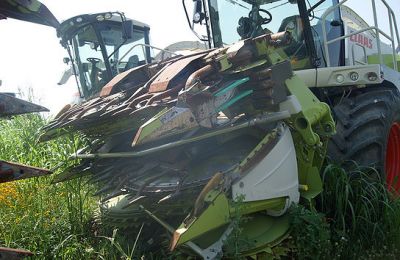 Forage-harvester Claas Jaguar 980 W/Orbis 750 or Orbis 600