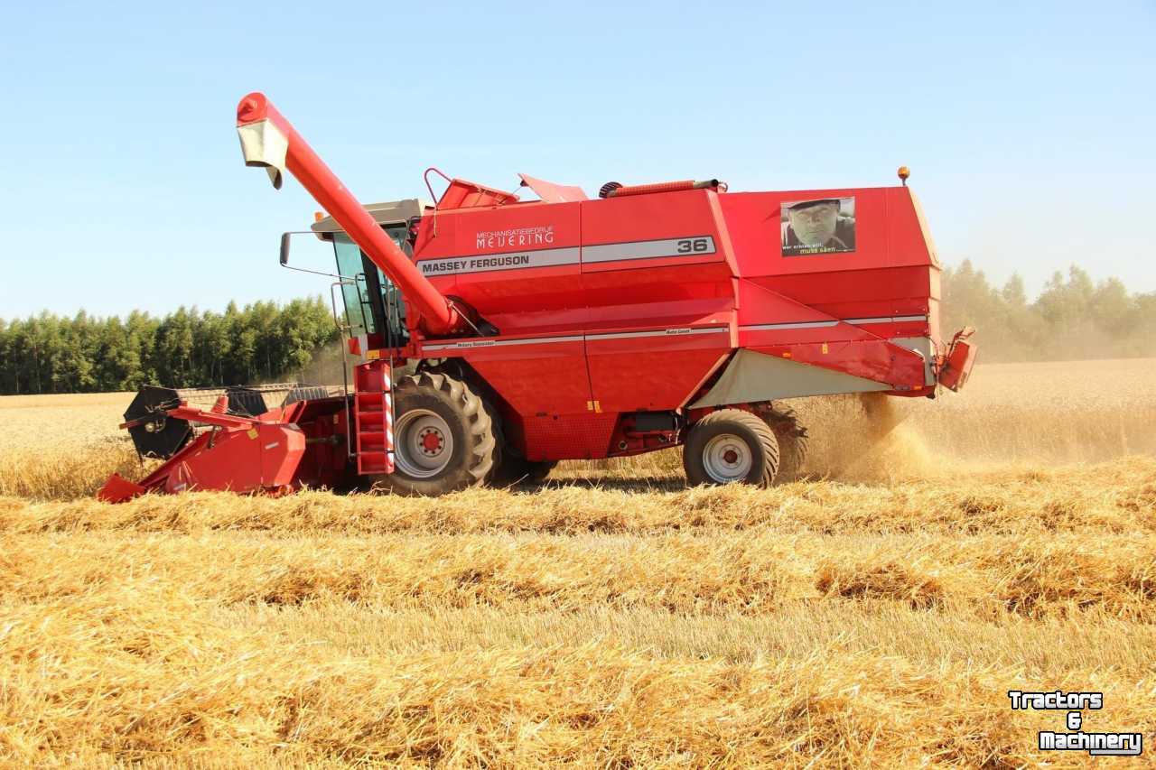 Combine Massey Ferguson MF 36 AL RS maaidorser / combine