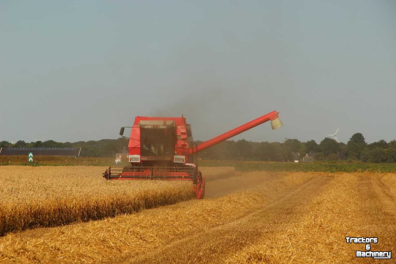 Combine Massey Ferguson MF 36 AL RS maaidorser / combine