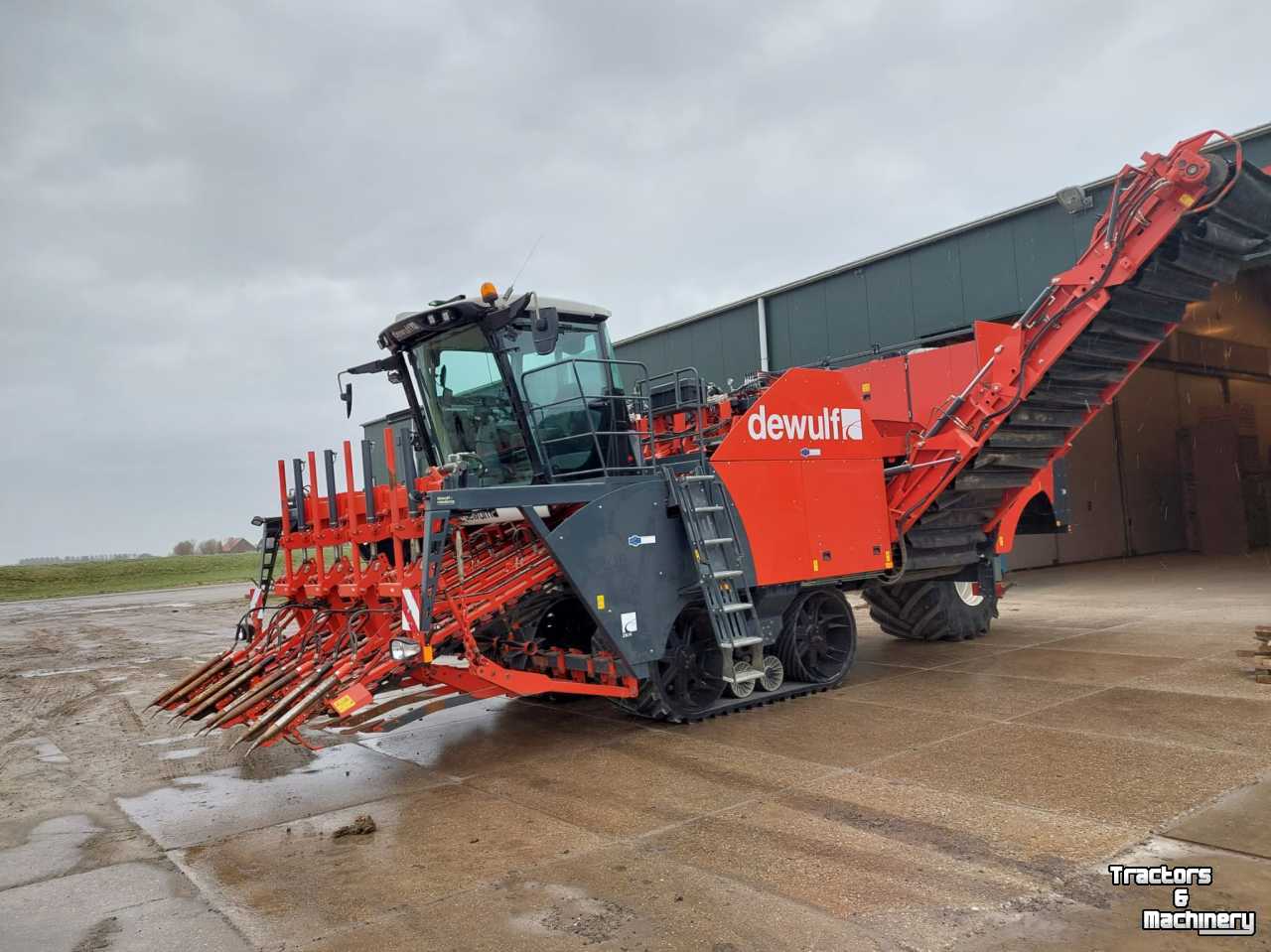 Carrot harvester Dewulf ZK IV klembandrooier