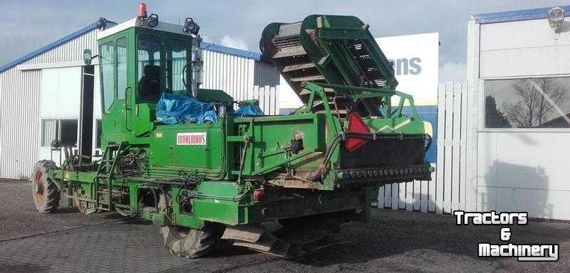 Potato harvester Wuhlmaus 2411 S Aardappelrooier