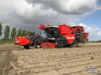 Potato harvester Dewulf Ra3060