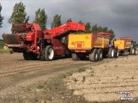 Potato harvester Dewulf Ra3060