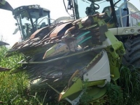 Forage-harvester Claas Jaguar 980 W/Orbis 750 or Orbis 600