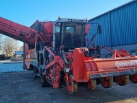 Potato harvester Dewulf Kwatro