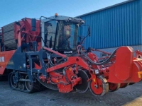 Potato harvester Dewulf Kwatro