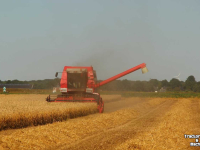 Combine Massey Ferguson MF 36 AL RS maaidorser / combine