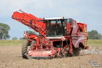 Potato harvester Grimme Varitron 270 terratrac