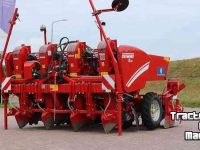 Potato planter Grimme GL 420