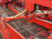 Potato harvester Grimme GV3000 getrokken 4 rij-ige aardappelrooier