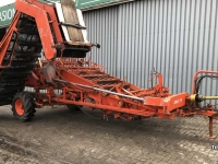 Onion harvester Amac F2 Uienlader