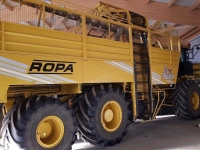 Sugar beet harvester Ropa Tiger V8-4